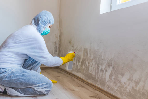 Licensed Crawl Space Mold Remediation service in Hurst, TX - Car Mold Remediation