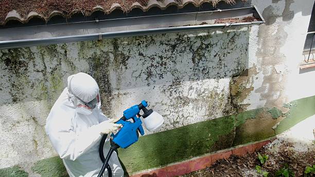 Top rated local Crawl Space Mold Remediation specialists in Hurst, TX
